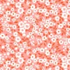 Fleurs blanches fond saumon