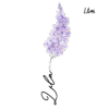lilas Fleur aquarelle avec prénom lilas