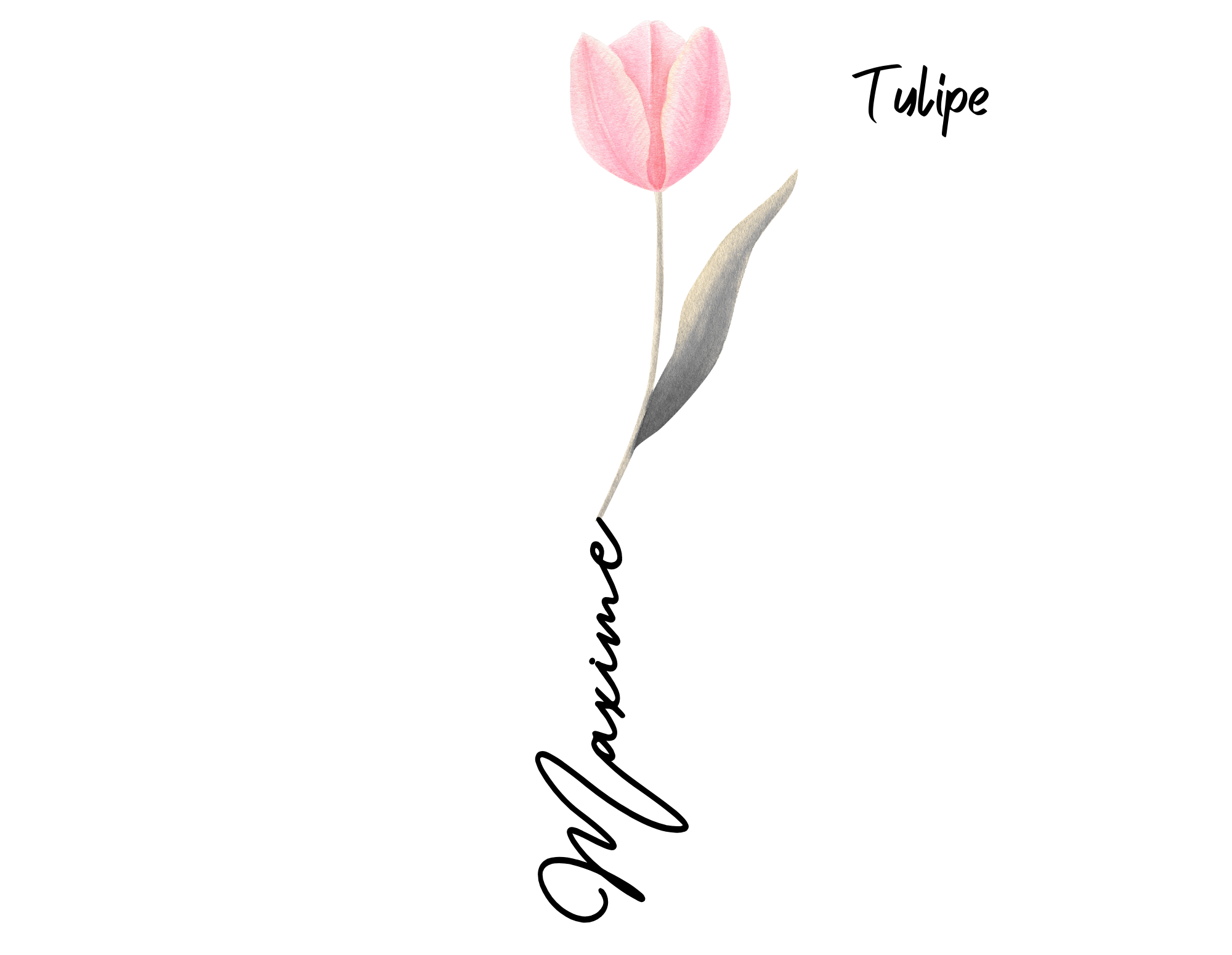 tulipe Fleur aquarelle avec prénom tulipe