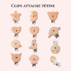 Différents modèles de clips d'attache tétines